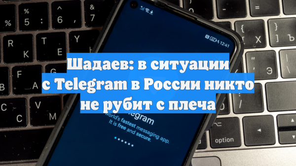 Шадаев: в ситуации с Telegram в России никто не рубит с плеча