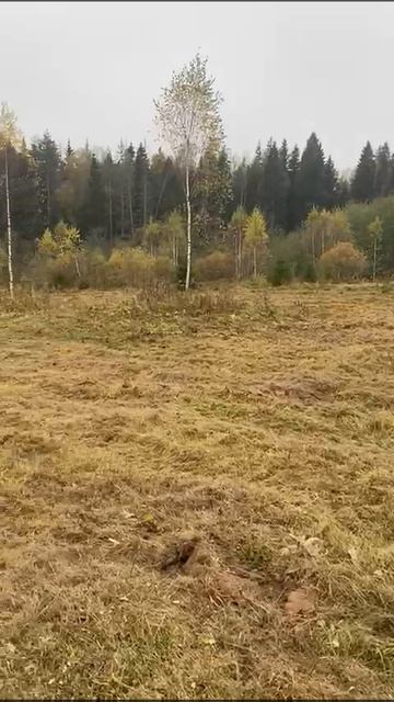 e6549d36-4340-4cc1-aee8-4d32605ab1a2 смотреть онлайн