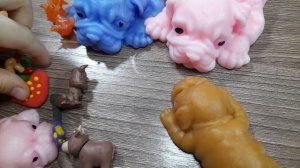 влог сквишь собачек