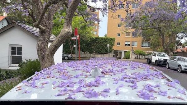 БЕСПЛАТНО МЕБЕЛЬ,ПОСУДА,ОБУВЬ,ФИГУРКИ НА УЛИЦАХ СИДНЕЯ(Me & Australia)