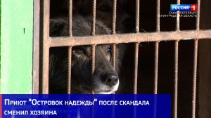 Приют "Островок надежды" после скандала сменил хозяина