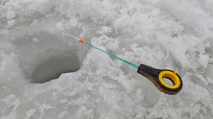 Сработки на жерлицы. Поклёвки на безмотылку. Два дня на Зимней Рыбалке