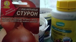 Посев лука на рассаду. Сорта лука, которые сею в этом сезоне