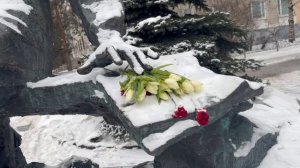 Ёлочки в снегу.