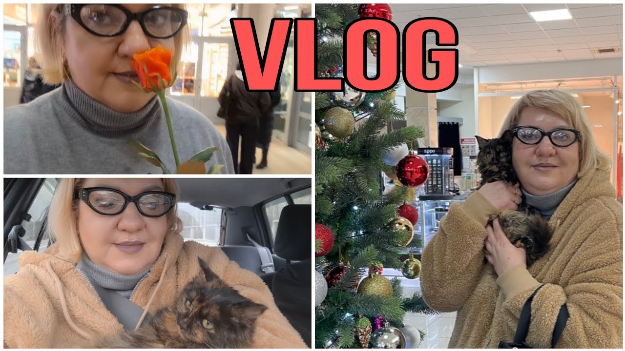 МЫ ЭТО СДЕЛАЛИ! УРА! СПАСАЕМ КОШЕЧКУ. ВОСПАЛЕНИЕ ЛЕГКИХ. ОЛЬГА ВИШЕНКА НА ТОРТЕ. VLOG. смотреть онлайн