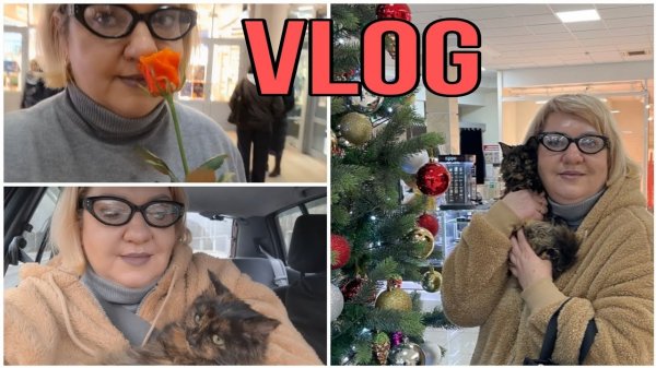 МЫ ЭТО СДЕЛАЛИ! УРА! СПАСАЕМ КОШЕЧКУ. ВОСПАЛЕНИЕ ЛЕГКИХ. ОЛЬГА ВИШЕНКА НА ТОРТЕ. VLOG.