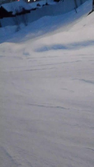 мы с другом на ледянках