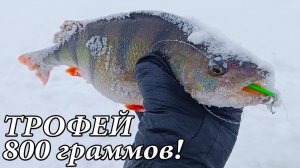 ТРОФЕЙНЫЙ ОКУНЬ на СУДАКОВУЮ ПРИМАНКУ! Улучшил РОТАТОР для ЭХОЛОТА Garmin Striker Vivid 4 CV!!!