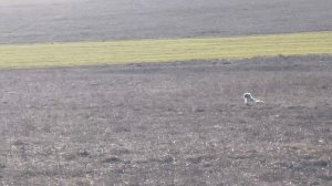 Федора. 19.02.26