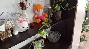 //146//Жизнь в деревне. До вечера отключили свет и воду.