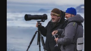 Знакомство с творчеством Дмитрий Архипов