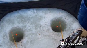 Снегопад, и ничего интересного!