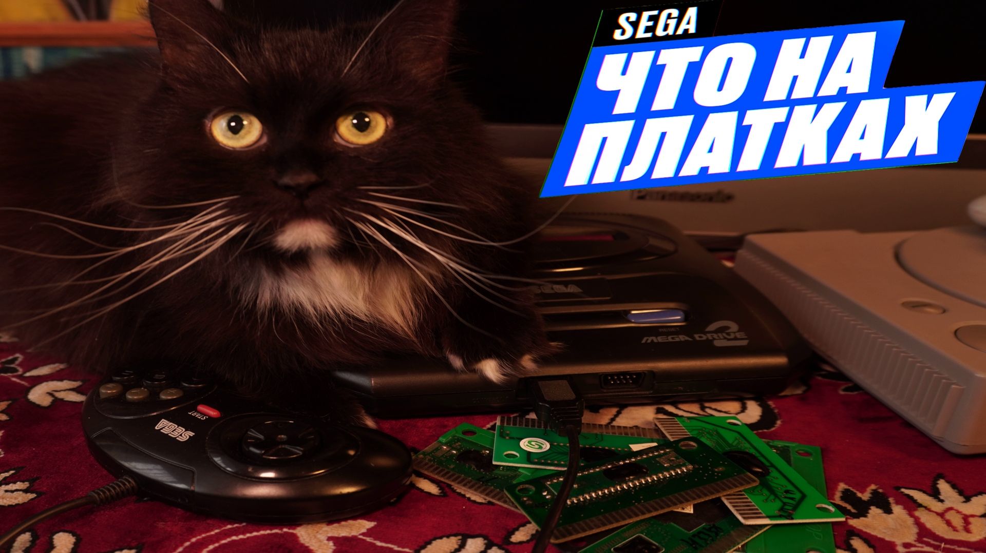 Что на платках СЕГА? Какие игры я нашел на SEGA в этом месяце? смотреть онлайн