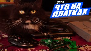 Что на платках СЕГА? Какие игры я нашел на SEGA в этом месяце?