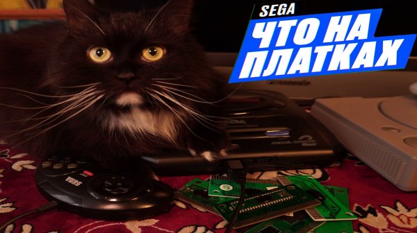 Что на платках СЕГА? Какие игры я нашел на SEGA в этом месяце?