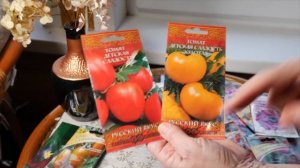 МОЙ ВЫБОР ТОМАТОВ