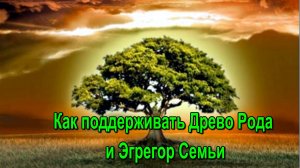 Астрал. Как поддерживать Древо Рода и Эгрегор Семьи ✅ - онлайн трансляция