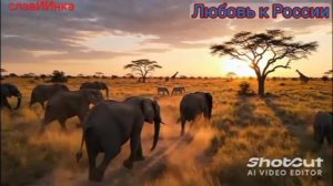 Любовь к России - slaviinka