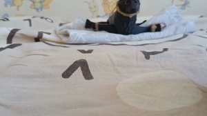 ГИГА РАСПАКОВКА!?📦