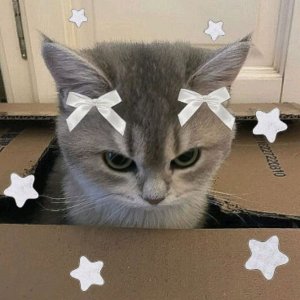 заходи на мой стримчик.