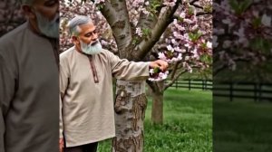 Стихотворение Сергея Есенина «Не жалею, не зову, не плачу»