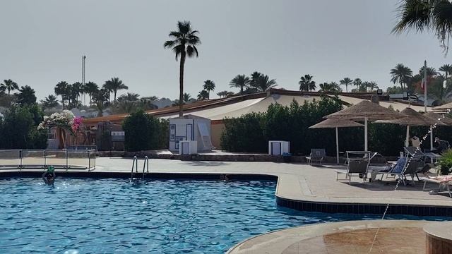 Центральный тёплый бассейн отеля Domina Coral Bay.Египет.