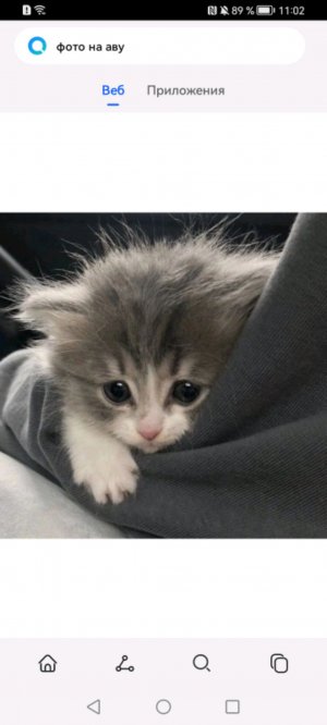 Ну ищем ещё снимать такое