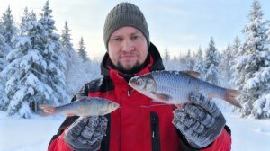 Наловил плотвы на реке на мормышку. Рыбалка зимой на течении на малых реках