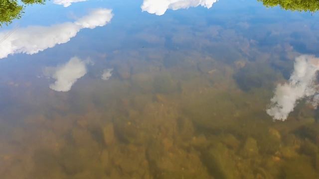 🍃 Расслабляющие Звуки Природы: Шум реки и плеск воды для глубокого сна 💤 смотреть онлайн