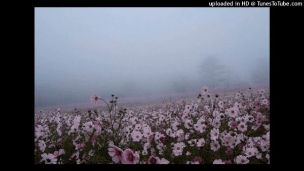 free experimental x ambient type beat - melancholy p by jiro [get.gt]