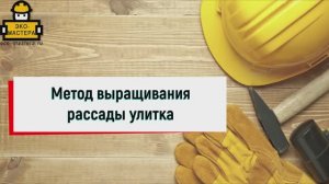 Метод выращивания рассады улитка