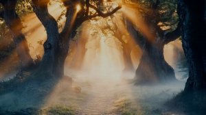 ВСЁ ВИЖУ,МОЛЧИ.  СОНГЛИ ГИФТ.