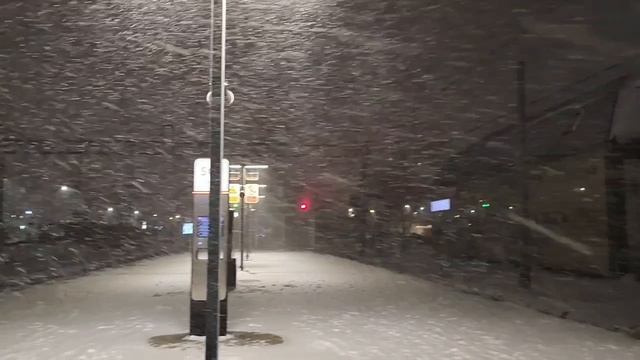 Погодный коллапс нас заметает транспорт опаздывает смотреть онлайн