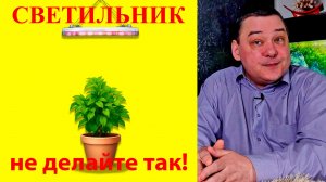 Ошибки при размещении светильника для растений