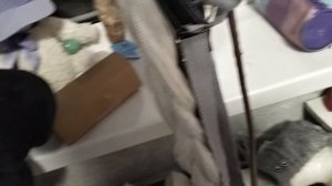 конюшня для ХОББИ ХОРСА?