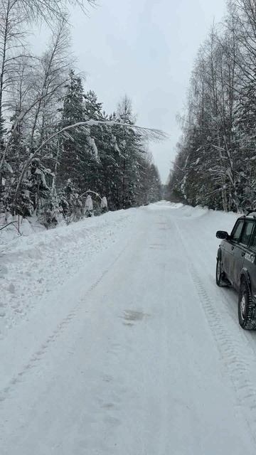 anzl.ru - Прекрасная дорога Карабаново - Коровино. смотреть онлайн