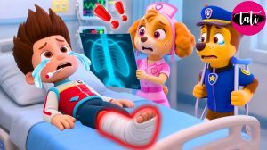 Щенячий патруль и Маршалл. Залипательное видео. Мультфильм для детей и малышей. Анимация 261