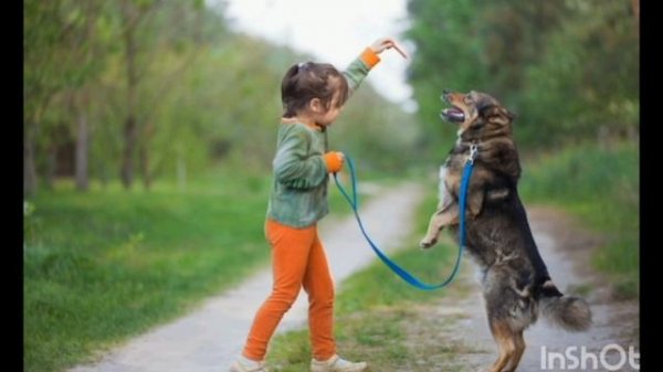 InShot_20260219_181335870.mp4