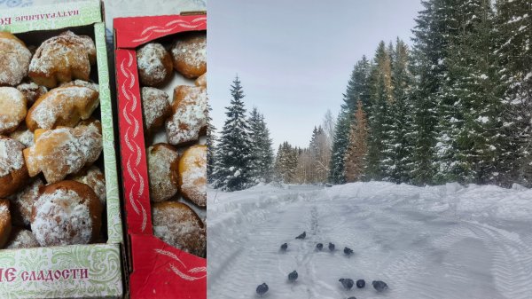 Собираюсь в дорогу ,топлю печь .