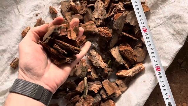Кора сосны 3-6 см Премиум (Толстые кусочки). Обзор качества Баркинвуд смотреть онлайн
