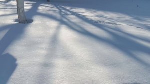 ЦЕНИТЕ ЖЕНЩИНУ КОТОРАЯ ЛЮБИМА., КОТОРАЯ ИДЕТ С ВАМИ ЗА РУКУ НЕ СПЕША.. МОЯ ПРОГУЛКА....