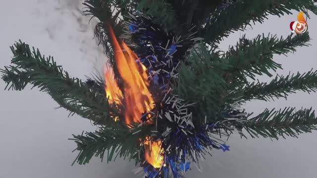 Новости 23 12 2025