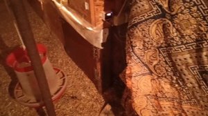 Готовлюсь к новой птице. Уборка у брам