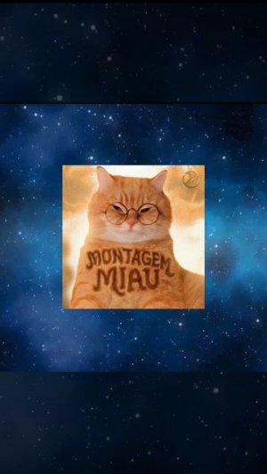 фонк под игру. название MONTAGEM MIAU
