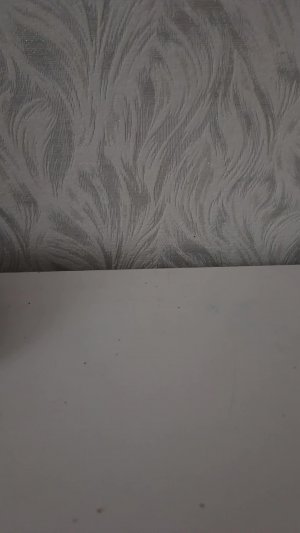 укради брейрот