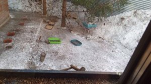 вкусный обед