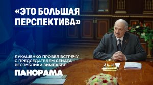 Новый виток в развитии сотрудничества! Лукашенко встретился с Председателем Сената Зимбабве.Панорама