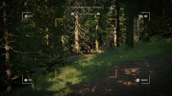 Трейлер Ranger’s Path: National Park Simulator ("Memories in the Museum")
