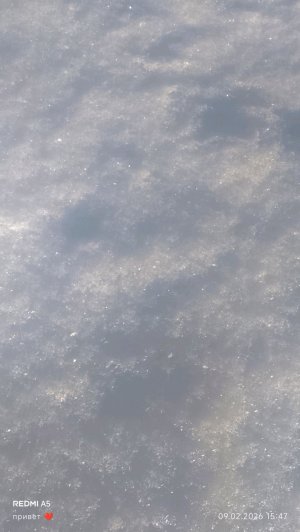 😝😝😝😝😝😝, ниже мой ТГ канал 👇