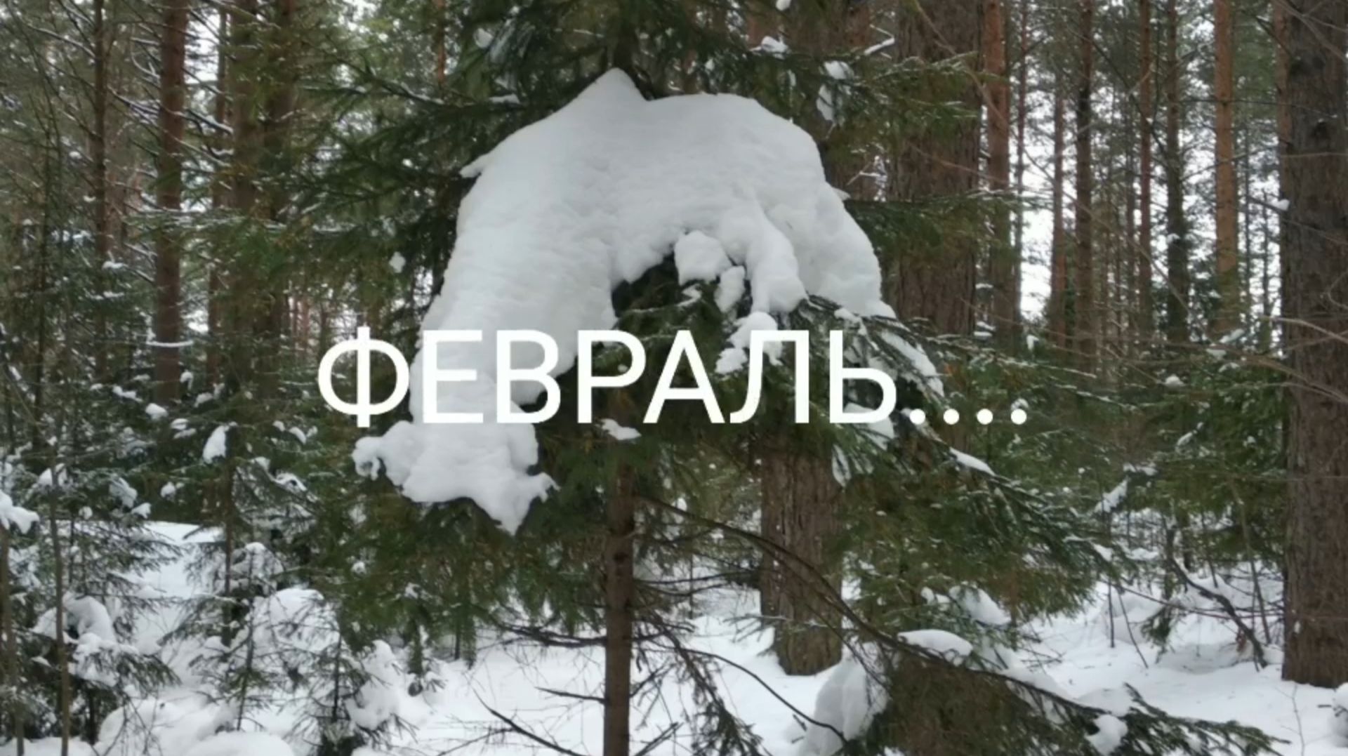 ВОЛШЕБНАЯ МУЗЫКА ФЕВРАЛЯ